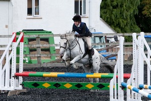 Class 4 - Fences 2'3 to 2'6